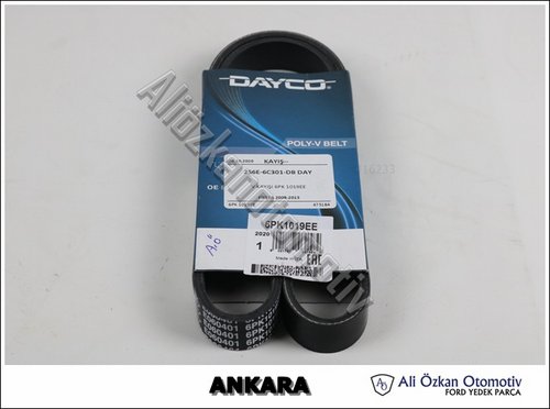 V KAYIŞI 6PK 1019EE