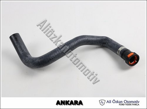 HORTUM KOMPLE, CIKIS