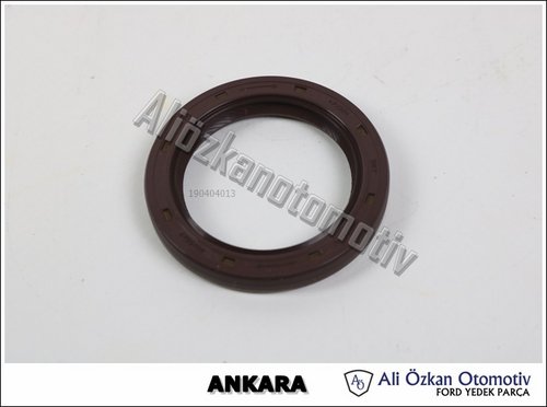KRANK ÖN KEÇE (YAYLI KEÇE)