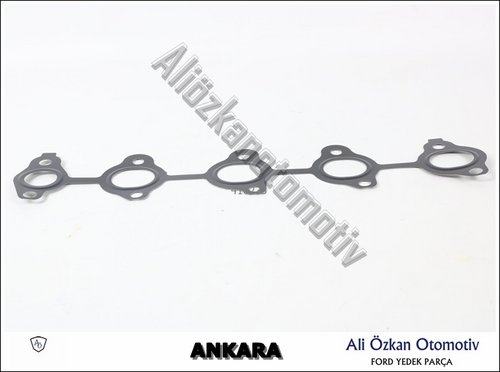 EKSOZ MANİFOLD CONTASI