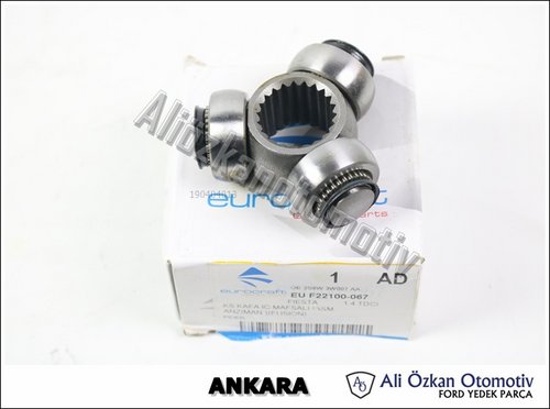 AKS KAFA İÇ MAFSALI ASM