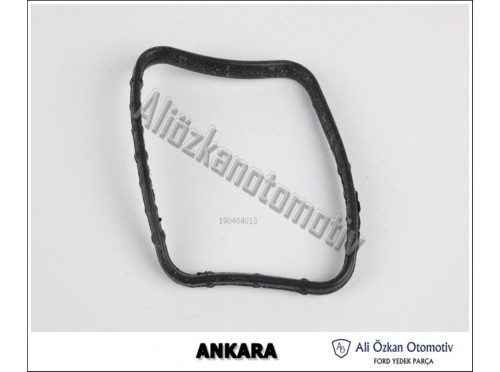 TERMOSTAT GÖVDE CONTASI