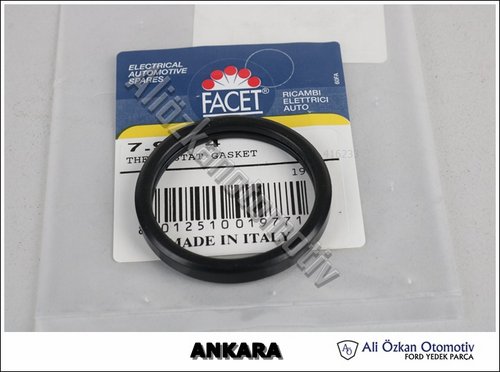 TERMOSTAT LASTİĞİ
