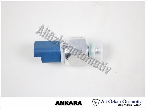 DİREKSİYON BASINÇ MÜŞÜRÜ