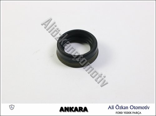 ENJEKTÖR KEÇESİ
