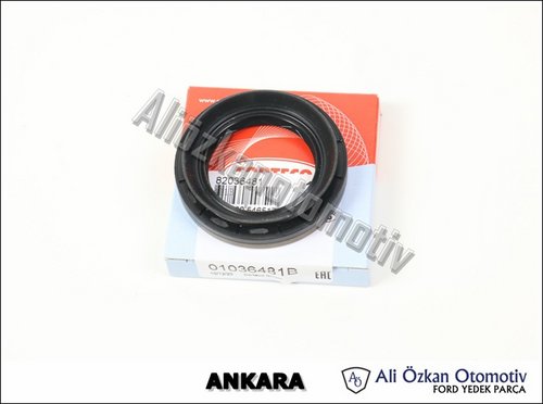 ÖN AKS KEÇESİ ADET