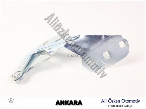 KAPUT MENTEŞESİ SOL