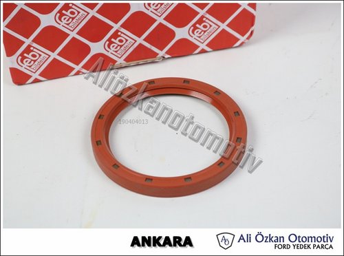 KRANK KEÇESİ ARKA