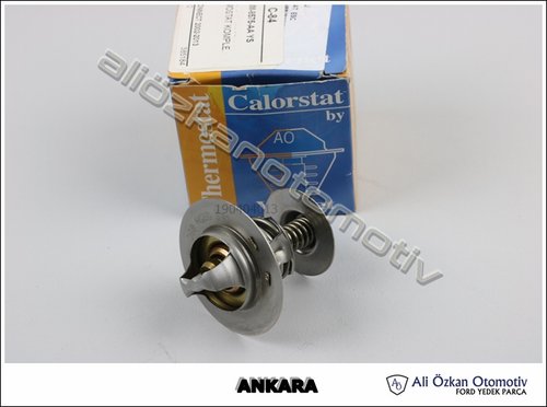 TERMOSTAT KOMPLE