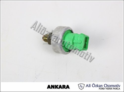 DİREKSİYON BASINÇ MÜŞÜRÜ YEŞİL