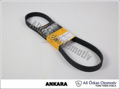 V KAYIŞ ESCORT (CL)