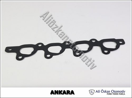 EGSOZ MANİFOLD CONTA ZETEC