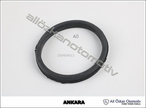 O RING:TERMOSTAT