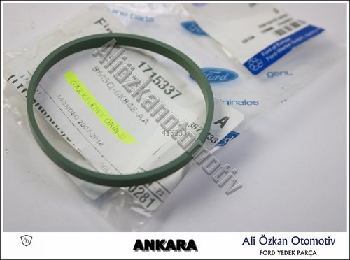 GAZ KELEBEK ORİNGİ