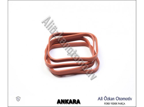 EMME MANİFOLD CONTASI