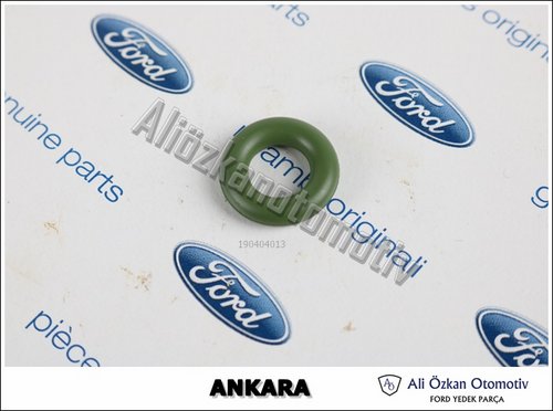 O-RING