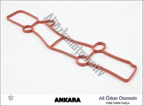 EMME MANİFOLD CONTASI