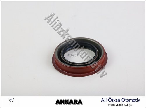 AKS KEÇESİ OTOMATİK ŞANZUMAN CD4E