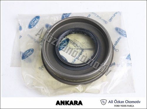KECE:POYRA,ARKA(ARKA TEK TEKER)(2)