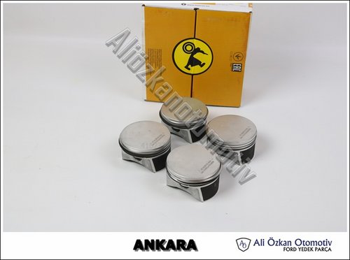 PİSTON SEKMANLI TAKIM (79.00 mm)
