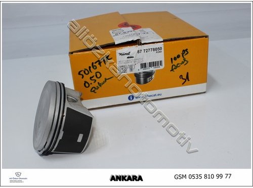 PİSTON SEKMANLI 050 (79.00) TAKIM FİYATI