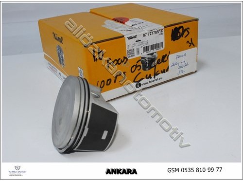 PİSTON SEKMANLI TAKIM