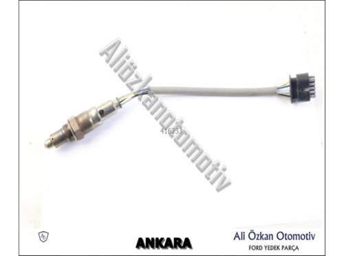 ALG. - EGZ.GAZI - OKSİJEN