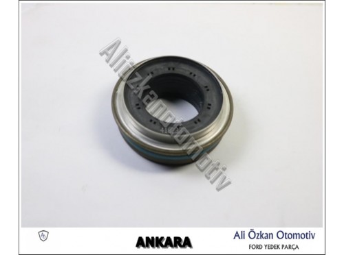 ÖN AKS KEÇESİ
