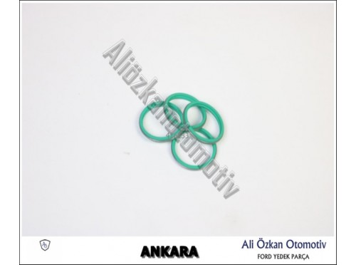 ENJEKTOR KECESİ