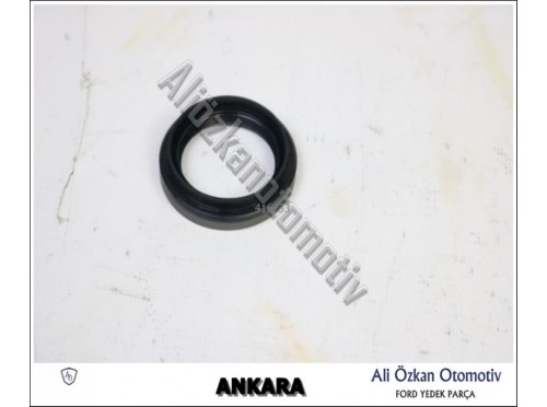 AKS KEÇESİ OTOMATİK