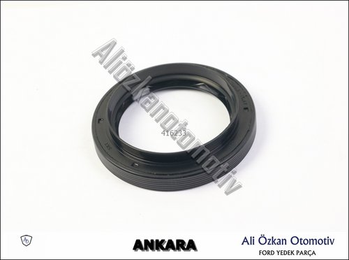 AKS KEÇE : ARKA