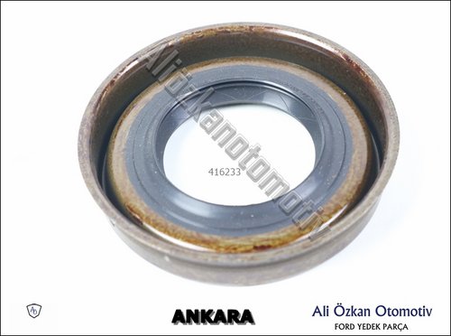 ARKA AKS KEÇESİ