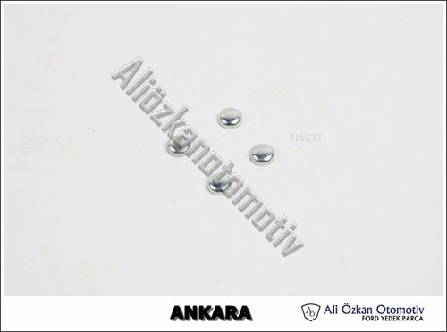 TAPA ŞANZUMAN GÖVDESİ 8MM