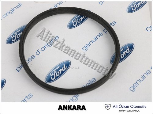 TERMOSTAT YUVASI CONTASI