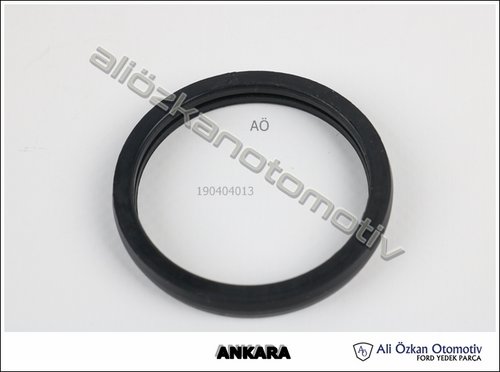 O RING:(46,7x55,8x7,25MM)TERMOSTAT