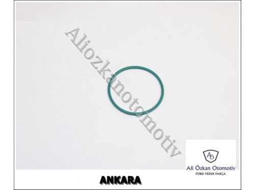 MAZOT POMPA ORİNGİ 200PS