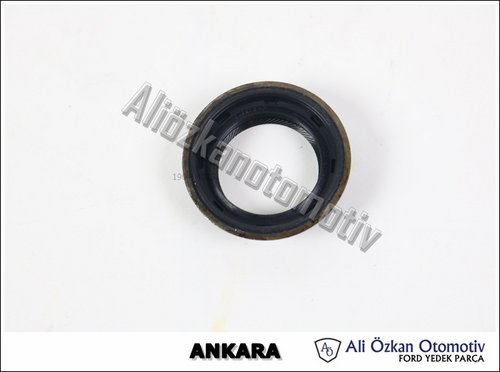 ŞANZIMAN KEÇESİ