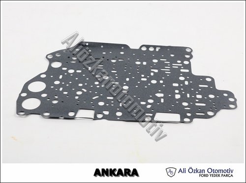 CONTA:SANZ.BEYNI,ARA PLAKA(4F27E)(2)