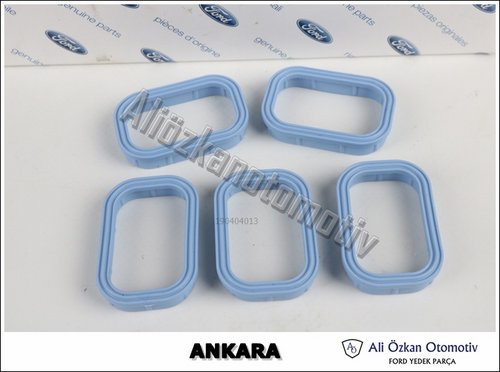 EMME MANİFOLD ORING ADET